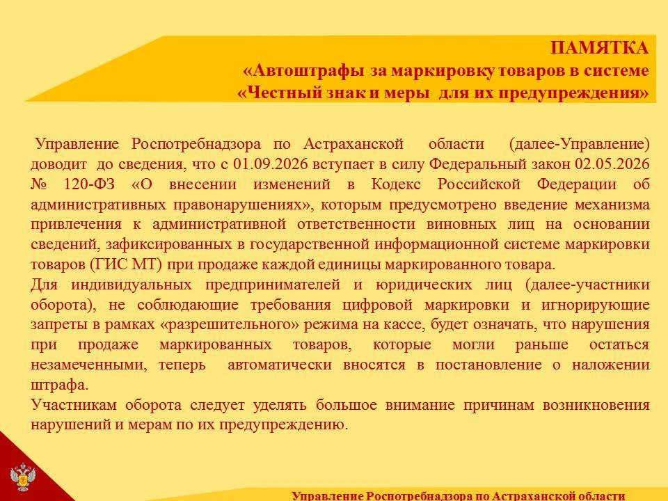 Алгоритм действий для участников оборота