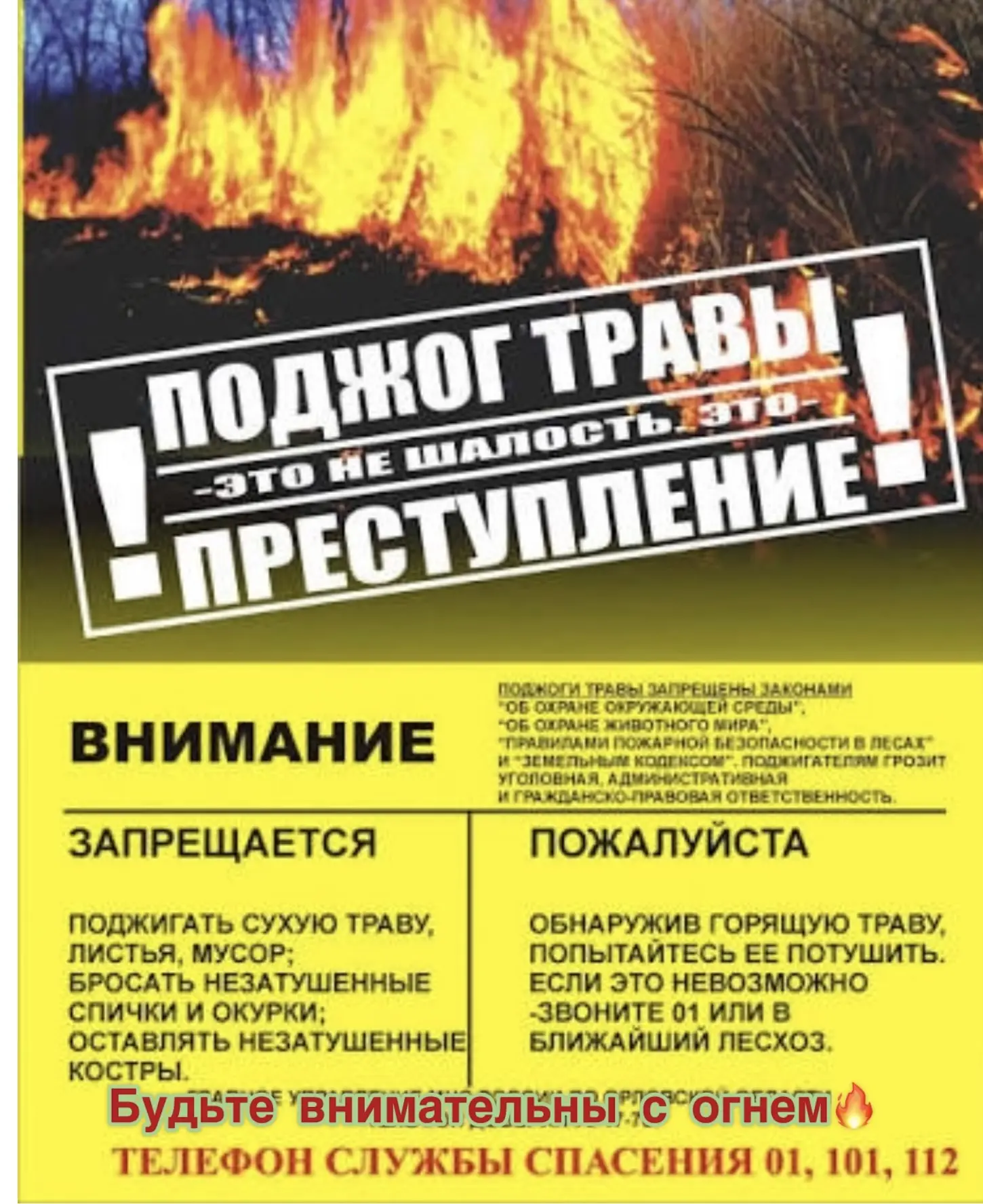 Пал сухой травы ЗАПРЕЩЁН!
Травяной пал – это настоящее стихийное бедствие. И всему виной — опасная и