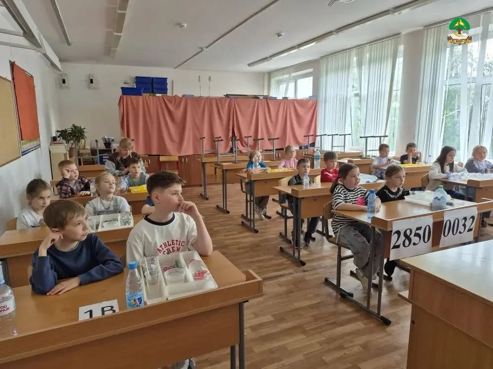 🧪 Невероятно, но факт: пипетка, спичка и пробирка стали настоящими водолазами!