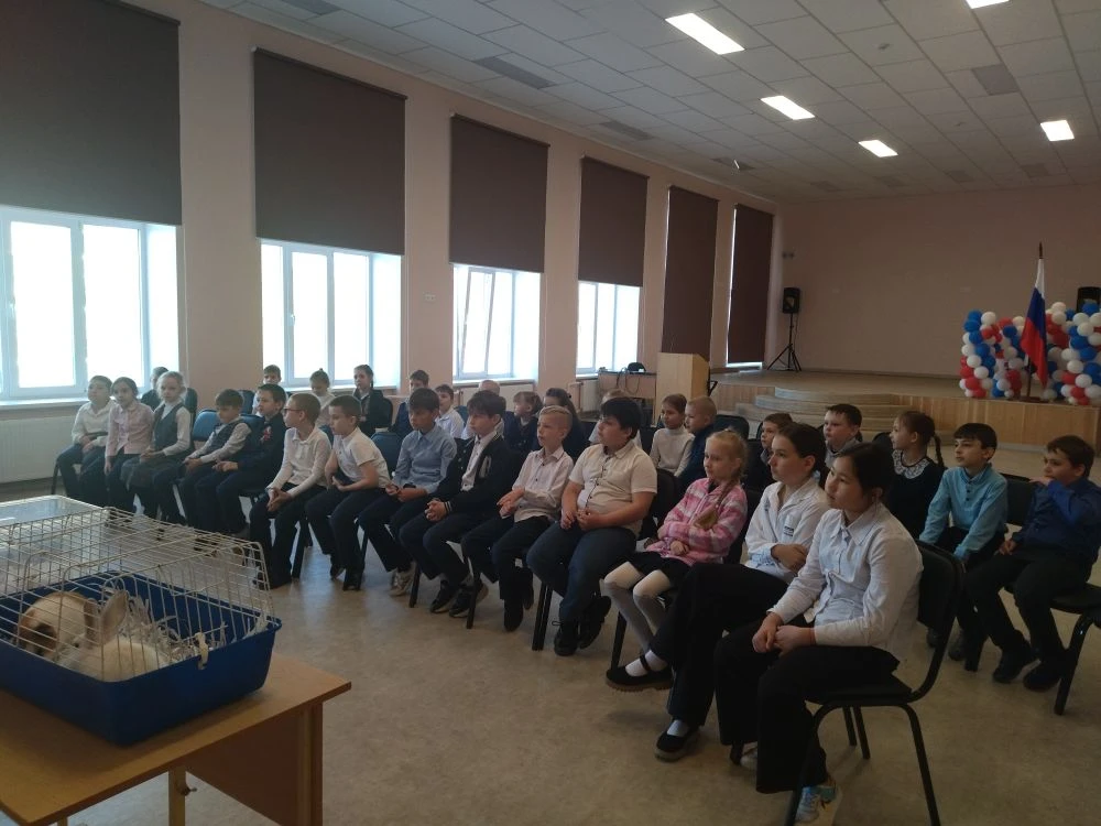 🐰В рамках сотрудничества с Детским эколого-биологическим центром в нашу школу приехал ...