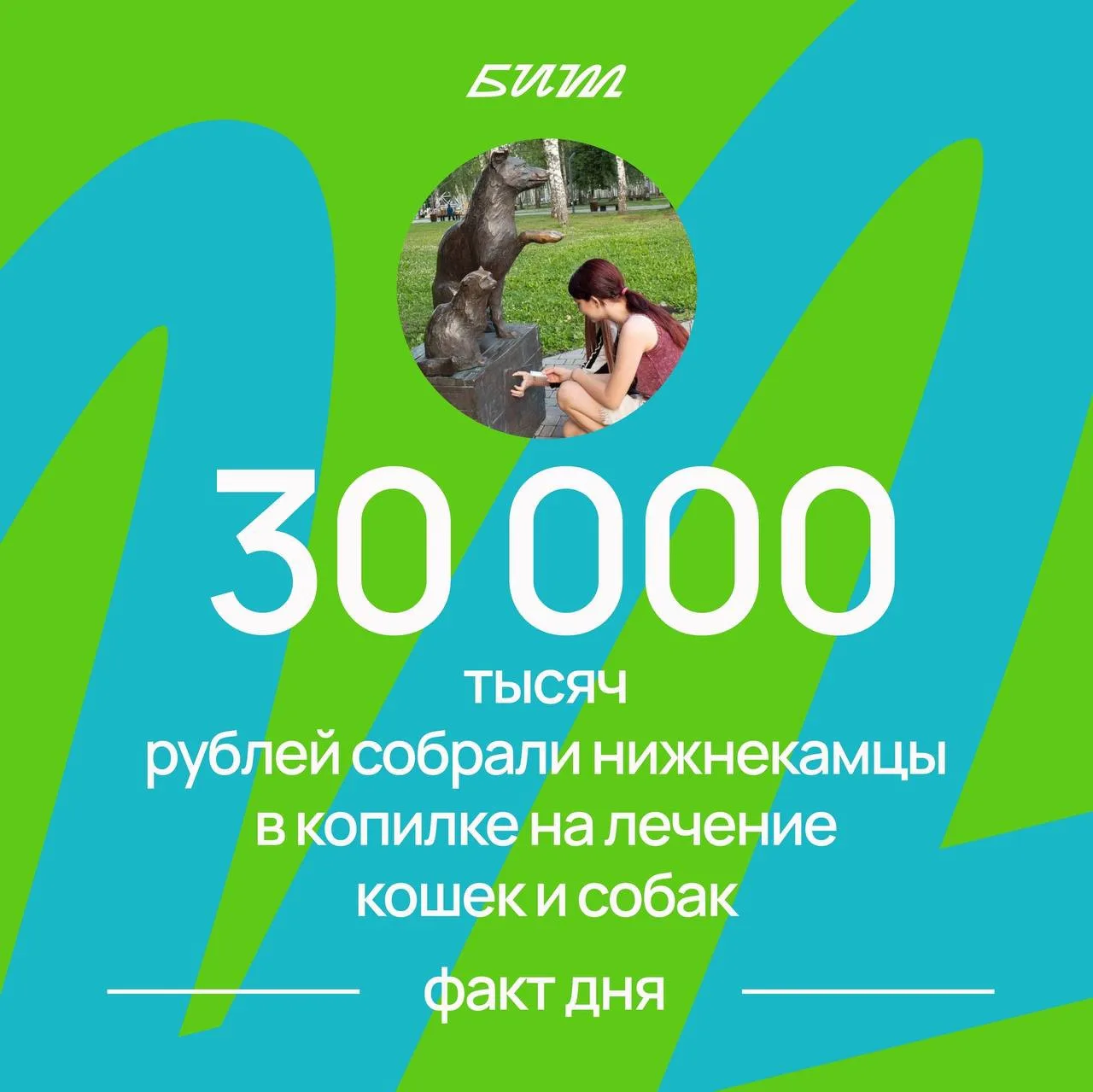 Нижнекамцы собрали почти 30 тысяч рублей на лечение кошек и собак в парке «Семья»

Волонтеры передал