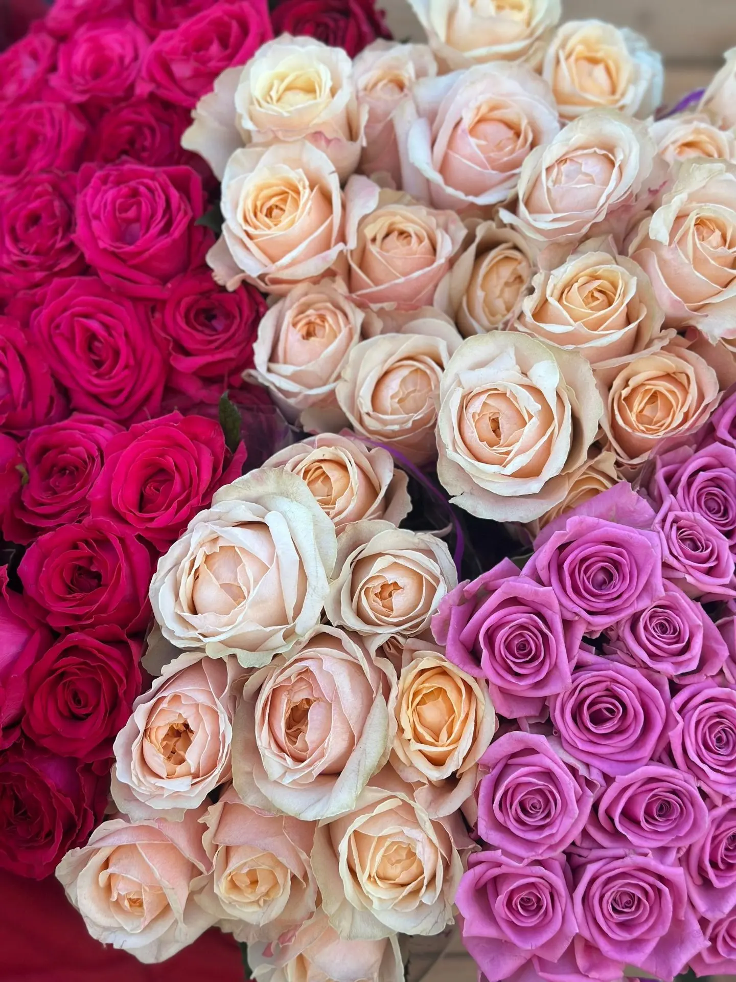 Новая акция до 10 сентября!🌹
