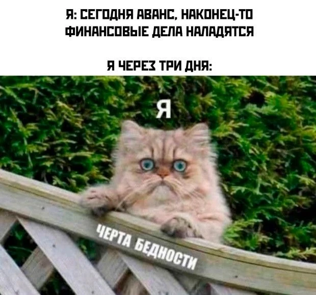 В Госдуме предложили ввести самозапрет на покупки на маркетплейсах