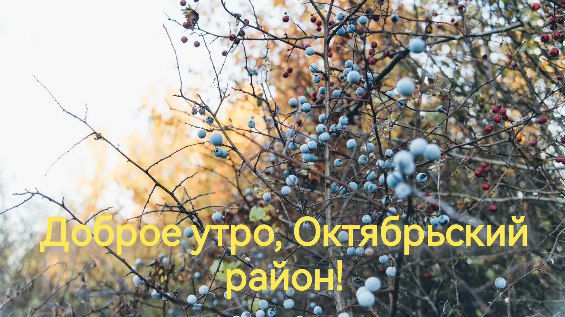 3 октября  в Октябрьском районе будет облачно, возможен небольшой дождь. Температура  в...