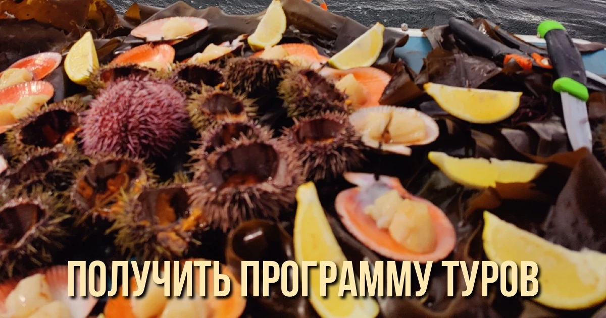 Чтобы получить программу любого из туров, просто напишите его название в наш отдел заботы