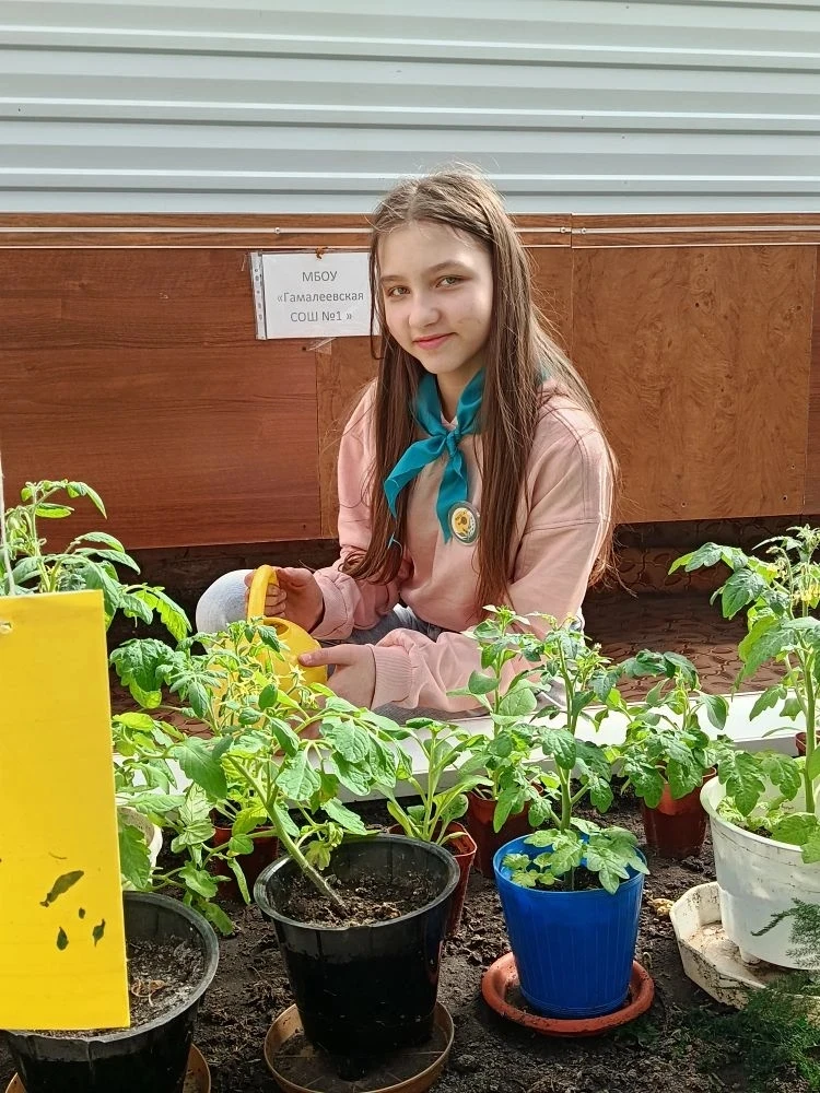 Теплица, томаты и заслуженная ПОБЕДА! 🍅✨  Сегодня в нашей школьной теплице было по-настоящему жарко!