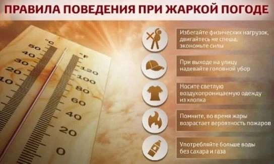 Справиться с жарой — серьёзное испытание. Соблюдение простых правил поможет избежать не...