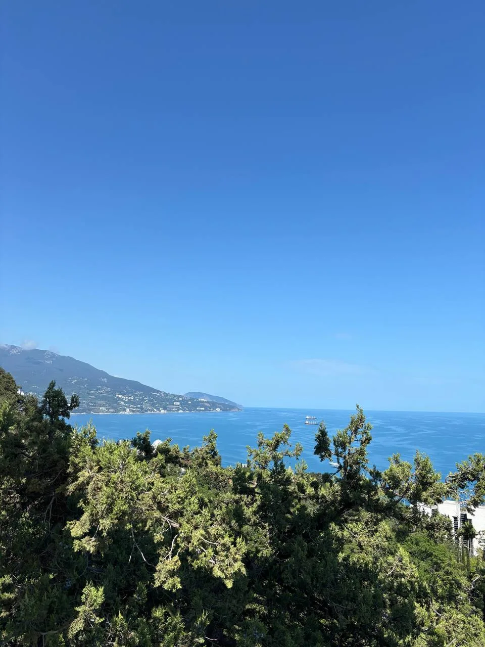 Прогноз погоды в Крыму на 31 июля ☀️

В Симферополе +29 и солнечно

В Севастополе +27 и солнечно

В 