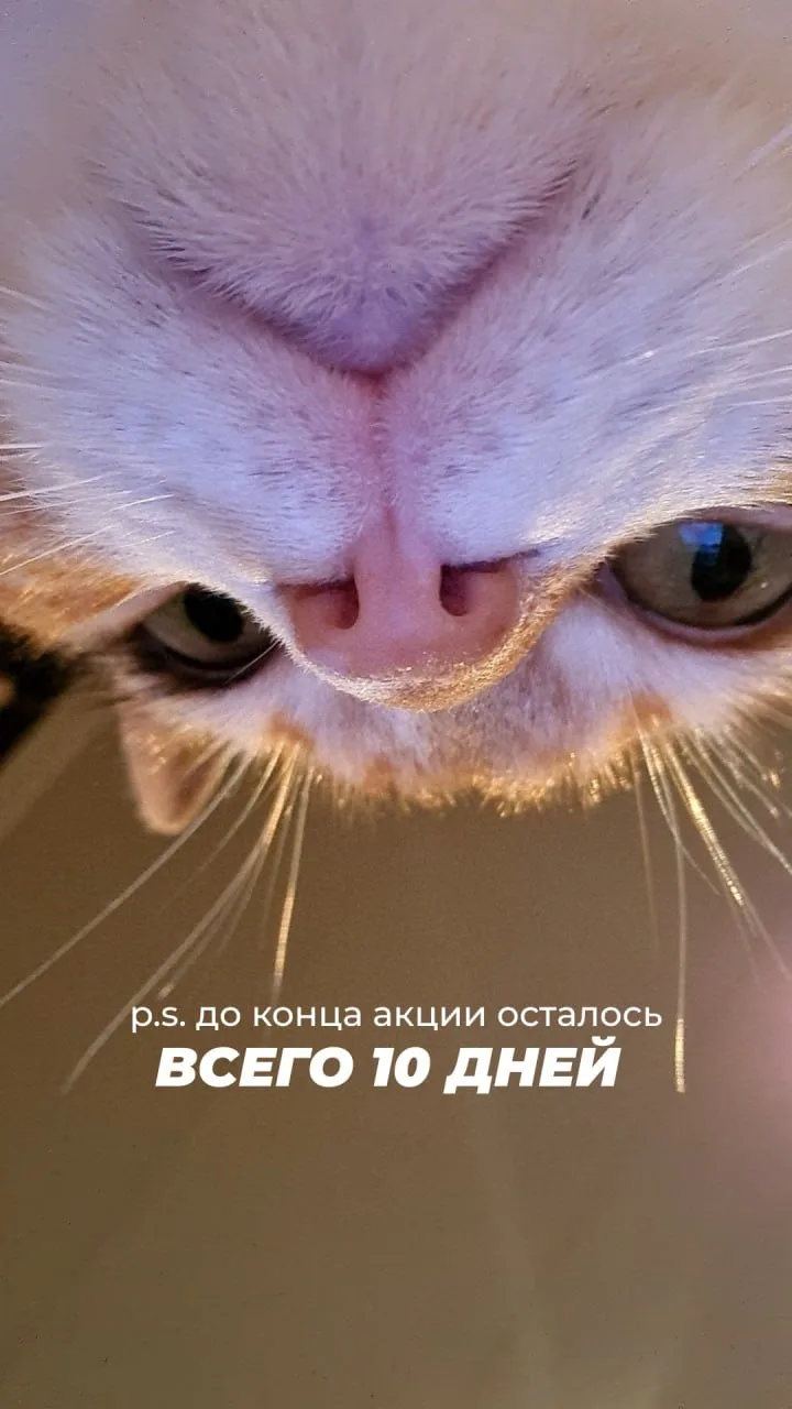 10 дней до окончания акции!😱 90 мин массаж + профкосметика для усиления эффекта! Запис...