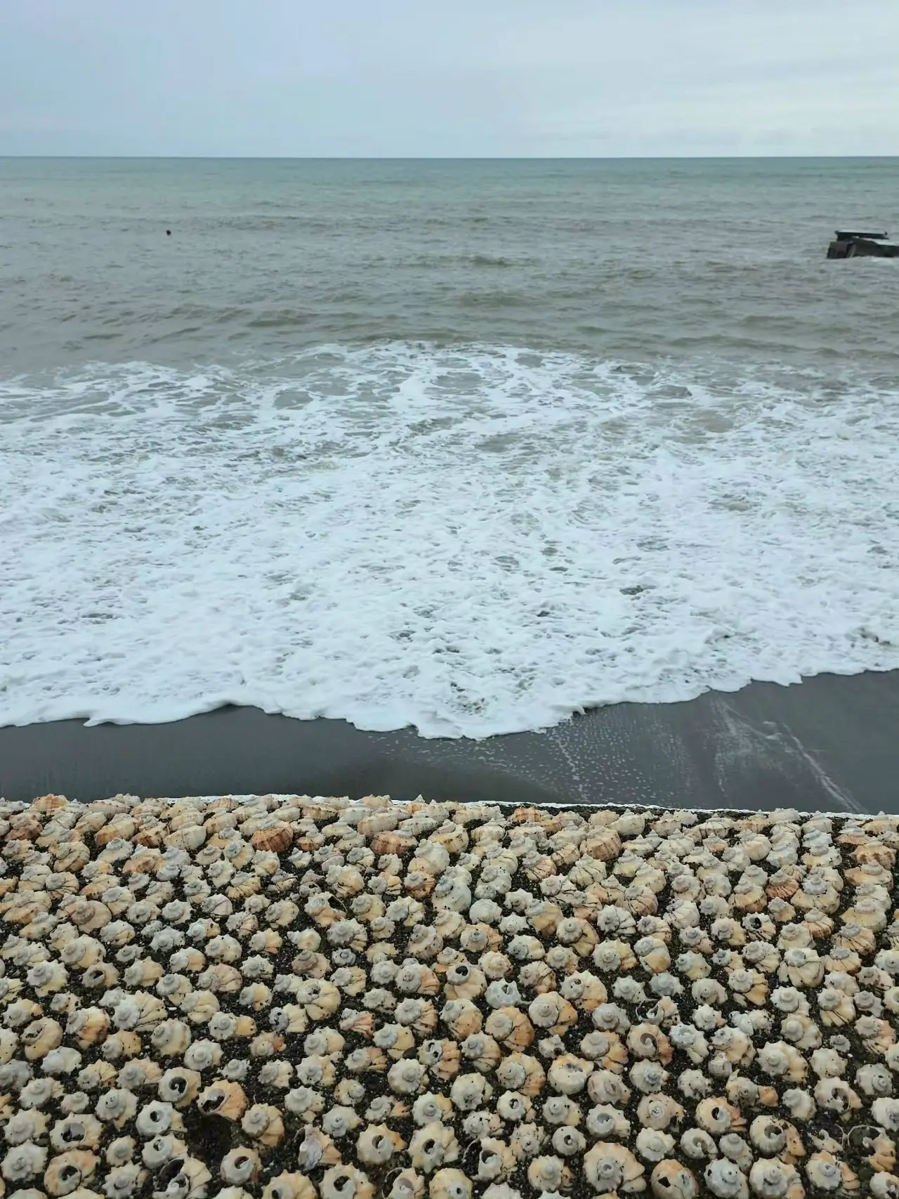 🐚 Ракушечный пляж в Адлере, которого на самом деле нет