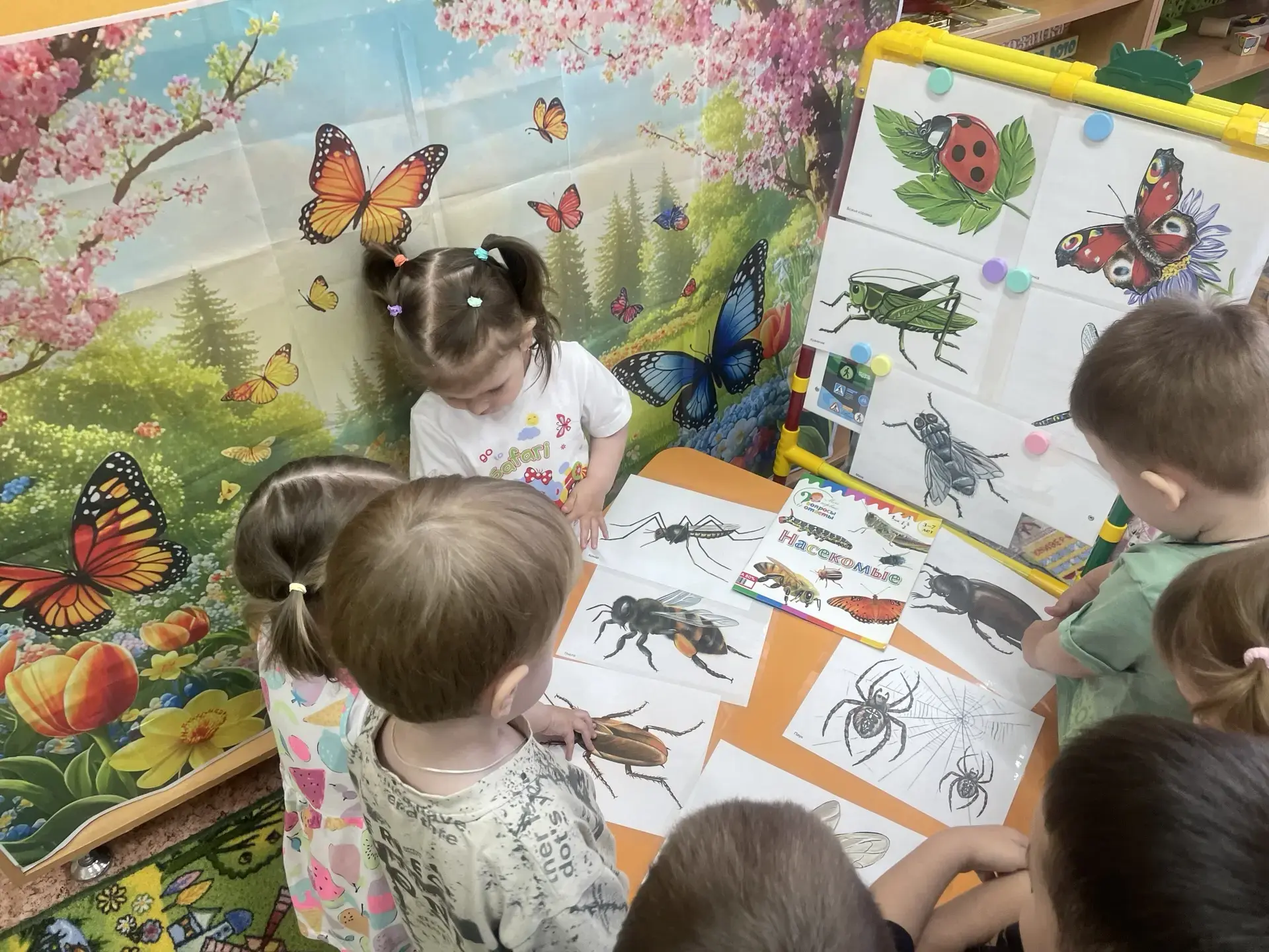 Мир удивительных насекомых – лето начинается с волшебства!🌻