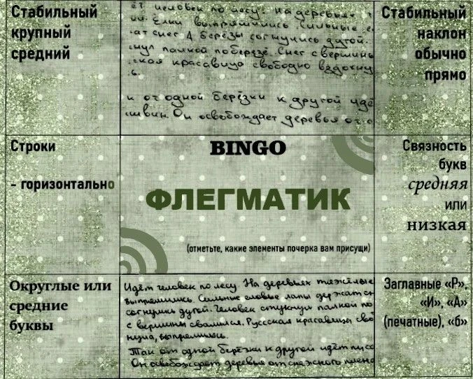В течение учебного года наши ученики 10-11 классов занимаются написанием и защитой инди...