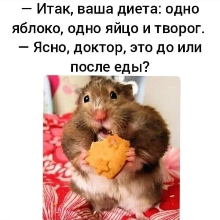 Приятного аппетита 😁