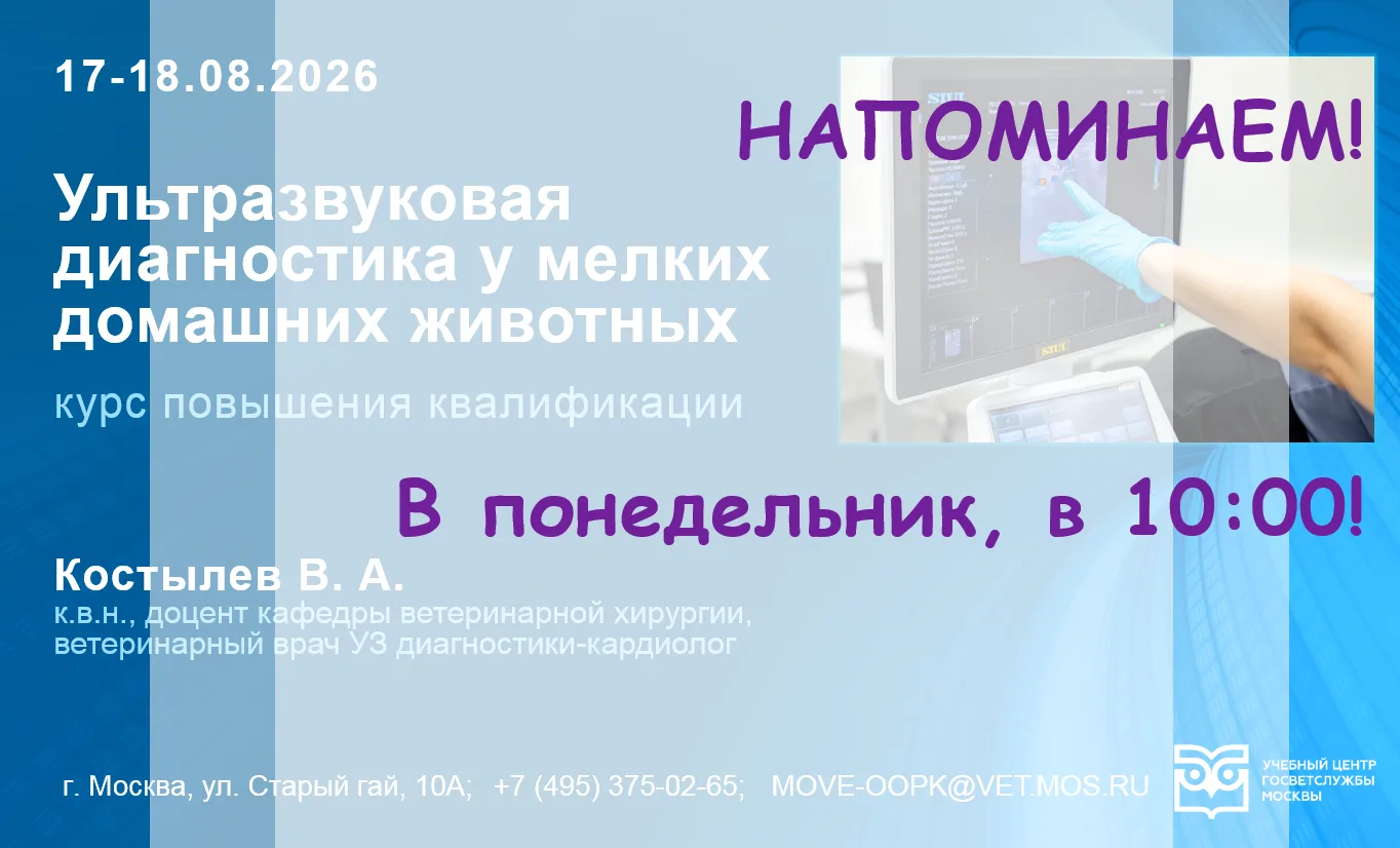 ⚡️Уважаемые коллеги! Напоминаем, 17 августа стартует двухдневный учебный курс