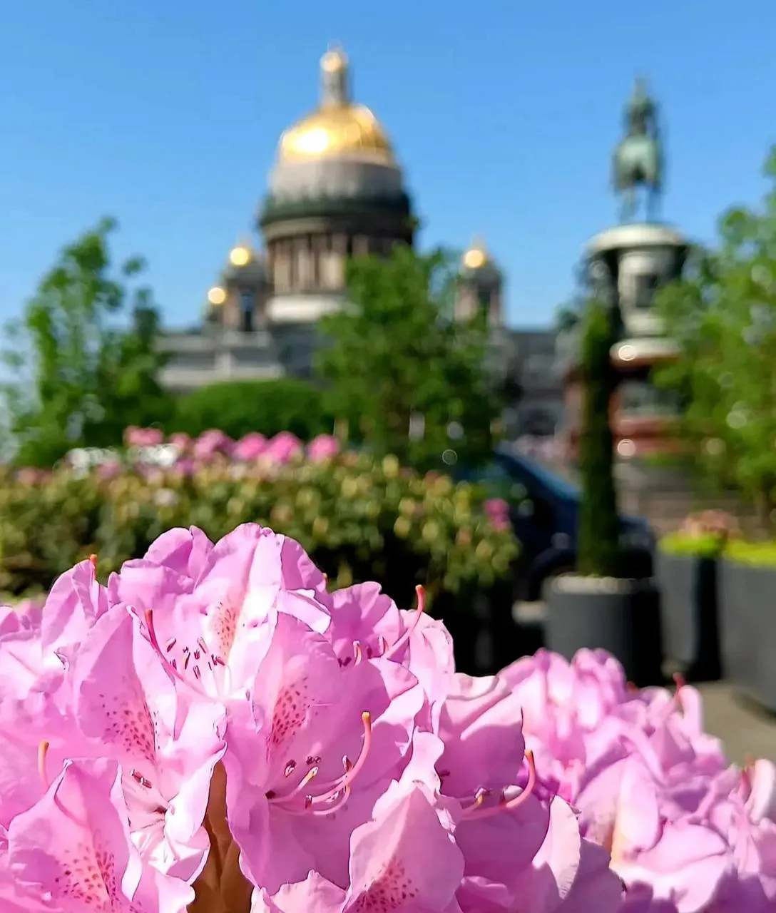 💐 В этом сезоне Исаакиевская площадь вновь расцветёт садом-трансформером  Ландшафт украсят пышная кр