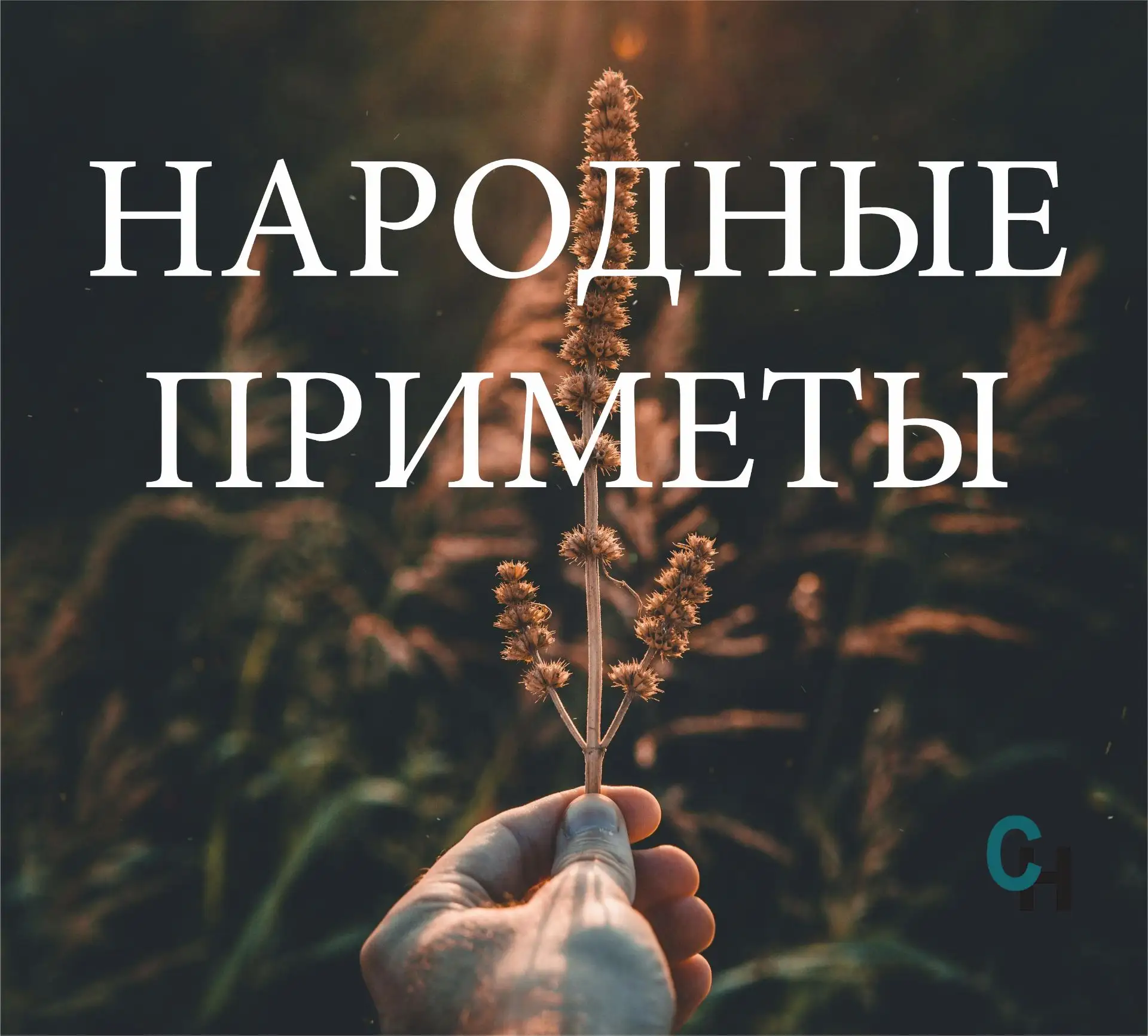 Народные приметы на 7 сентября
