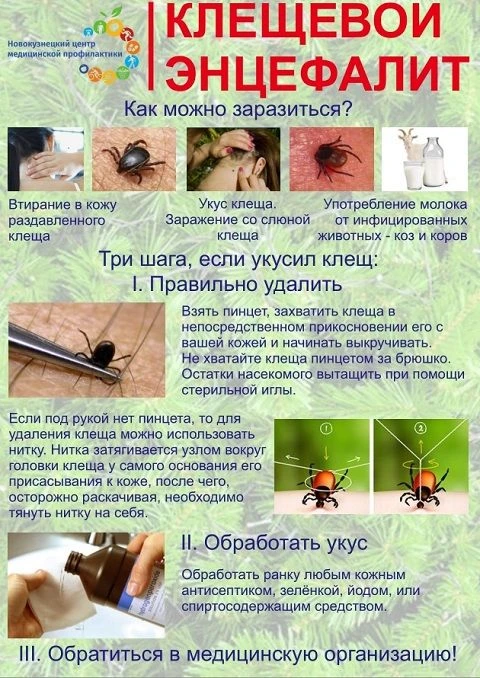 В ДОУ ведётся разъяснительная работа среди воспитанников и родителей общественности по ...