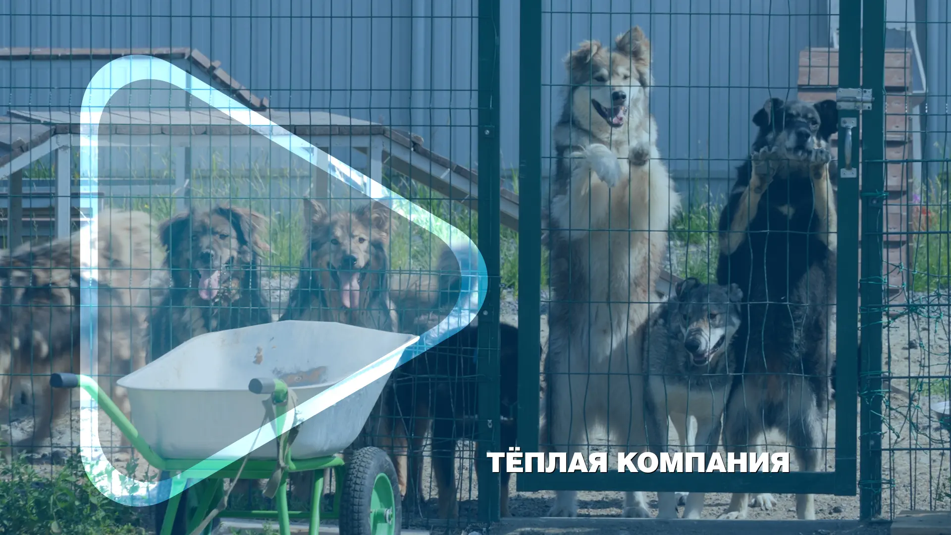#гдя_добрые_дела