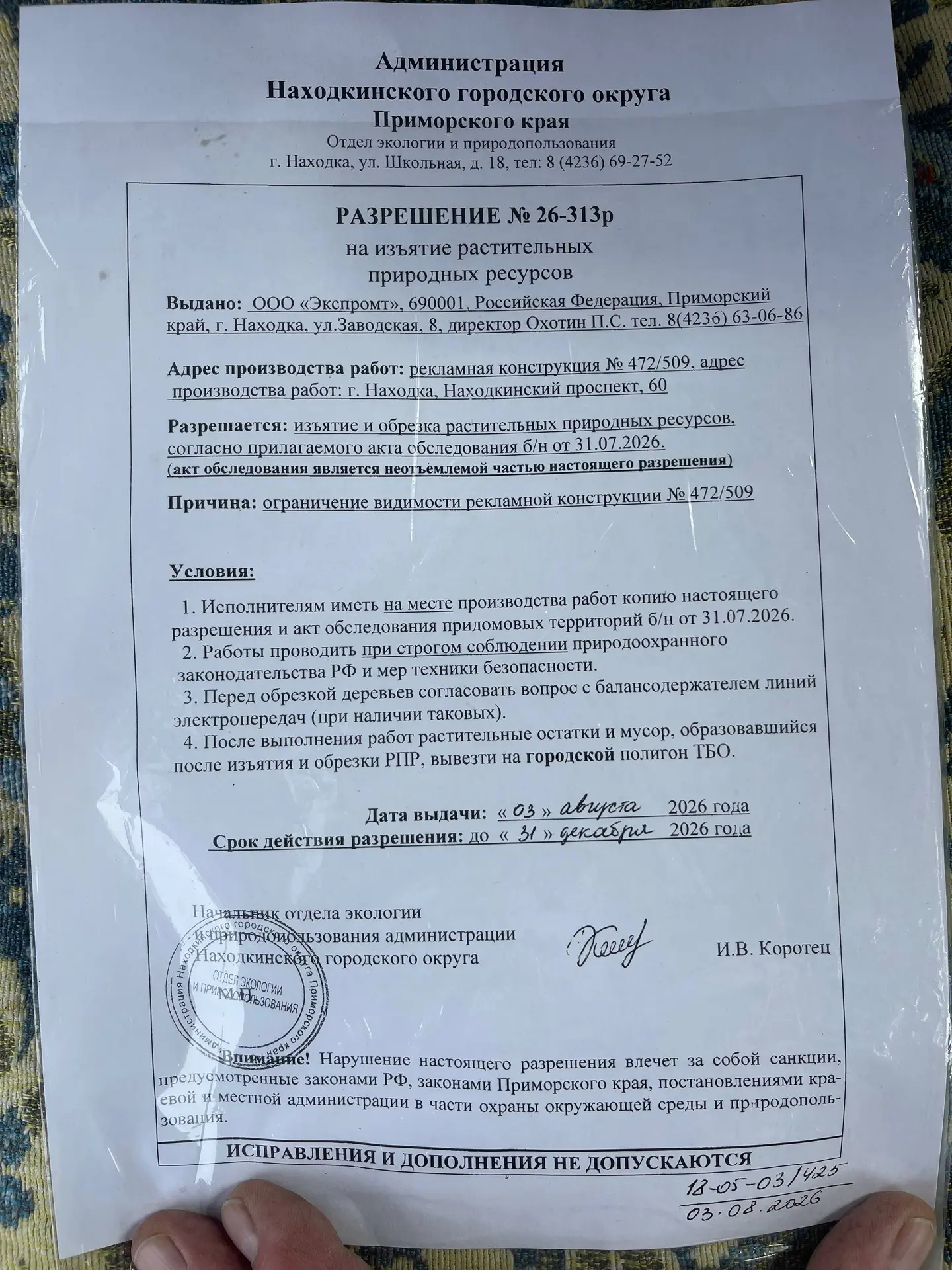 В Находке спиливают деревья, которые мешают рекламе