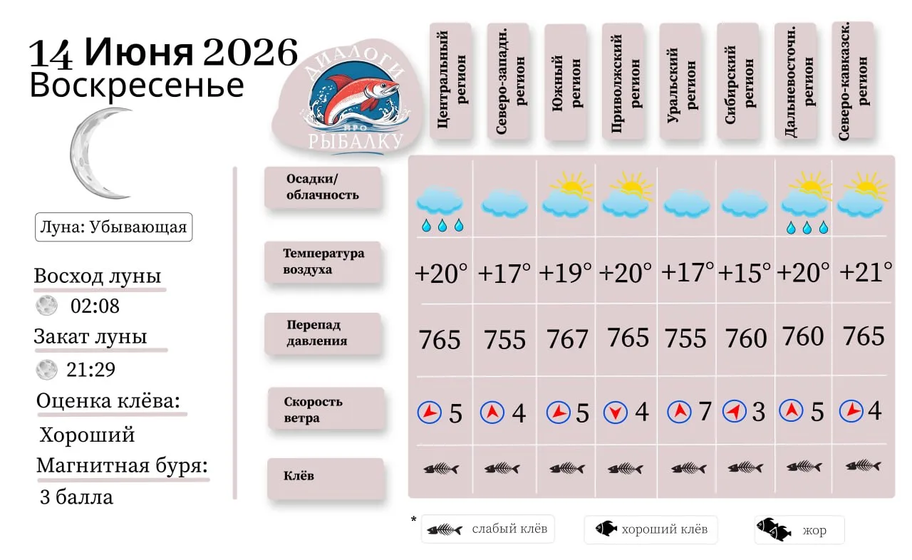 Прогноз клёва на 14  июня по фазе и состоянию луны 🎣