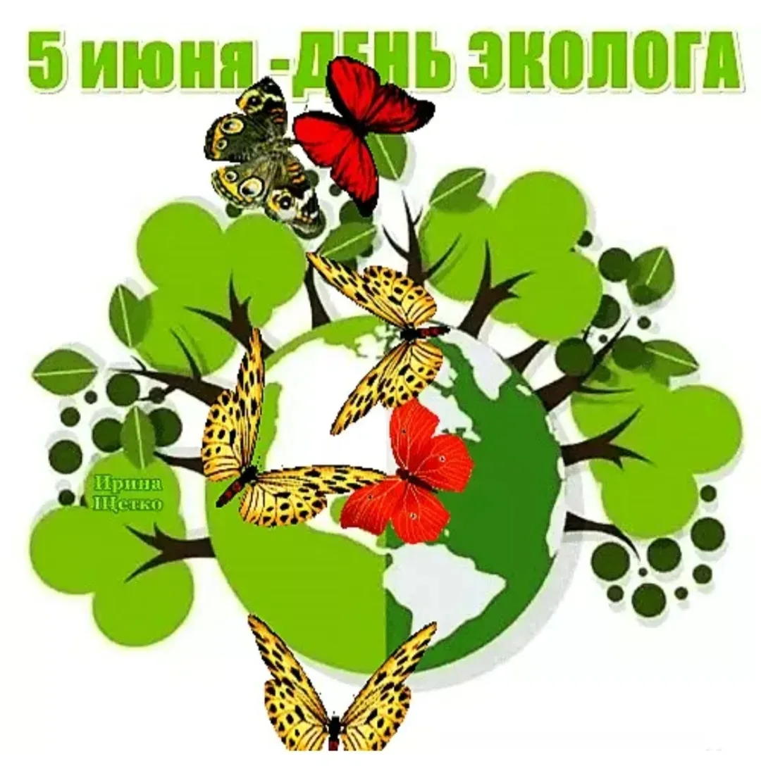 Сохраним природу вместе