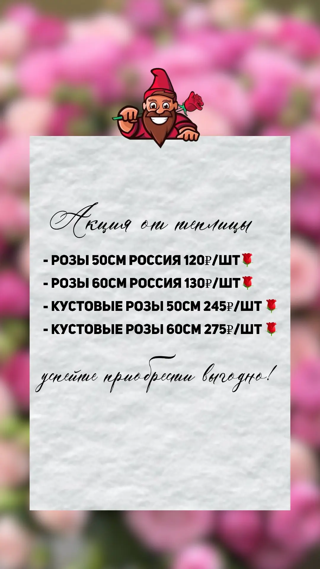 Напоминаем, что сегодня вы можете приобрести букеты с хорошей выгодой по акции от теплицы!