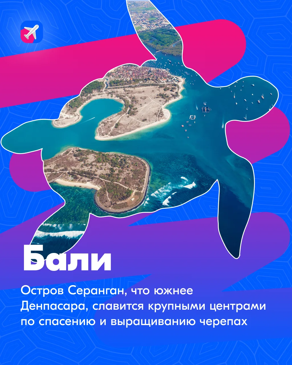 🐢 А если мы скажем, что День черепах существует, и празднуют его сегодня — 23 мая?  ✨ Нам кажется, т