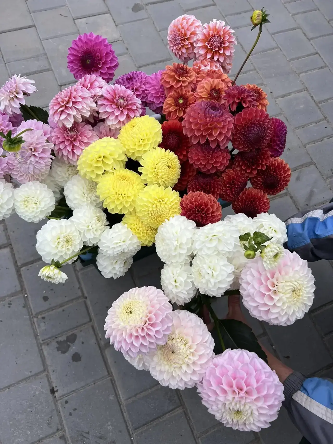Доброе утро ❤️ У нас дико живописно, уютно и пахнет счастьем.