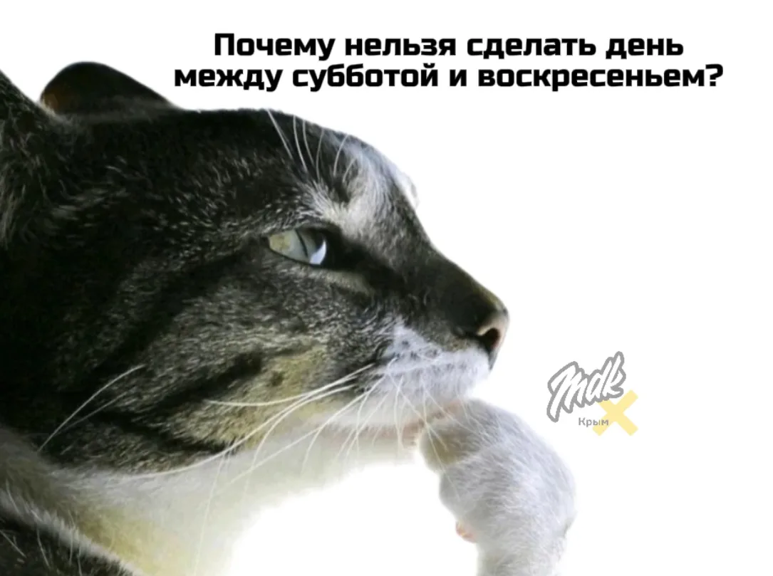 Ну лучше бы жилось, согласны?