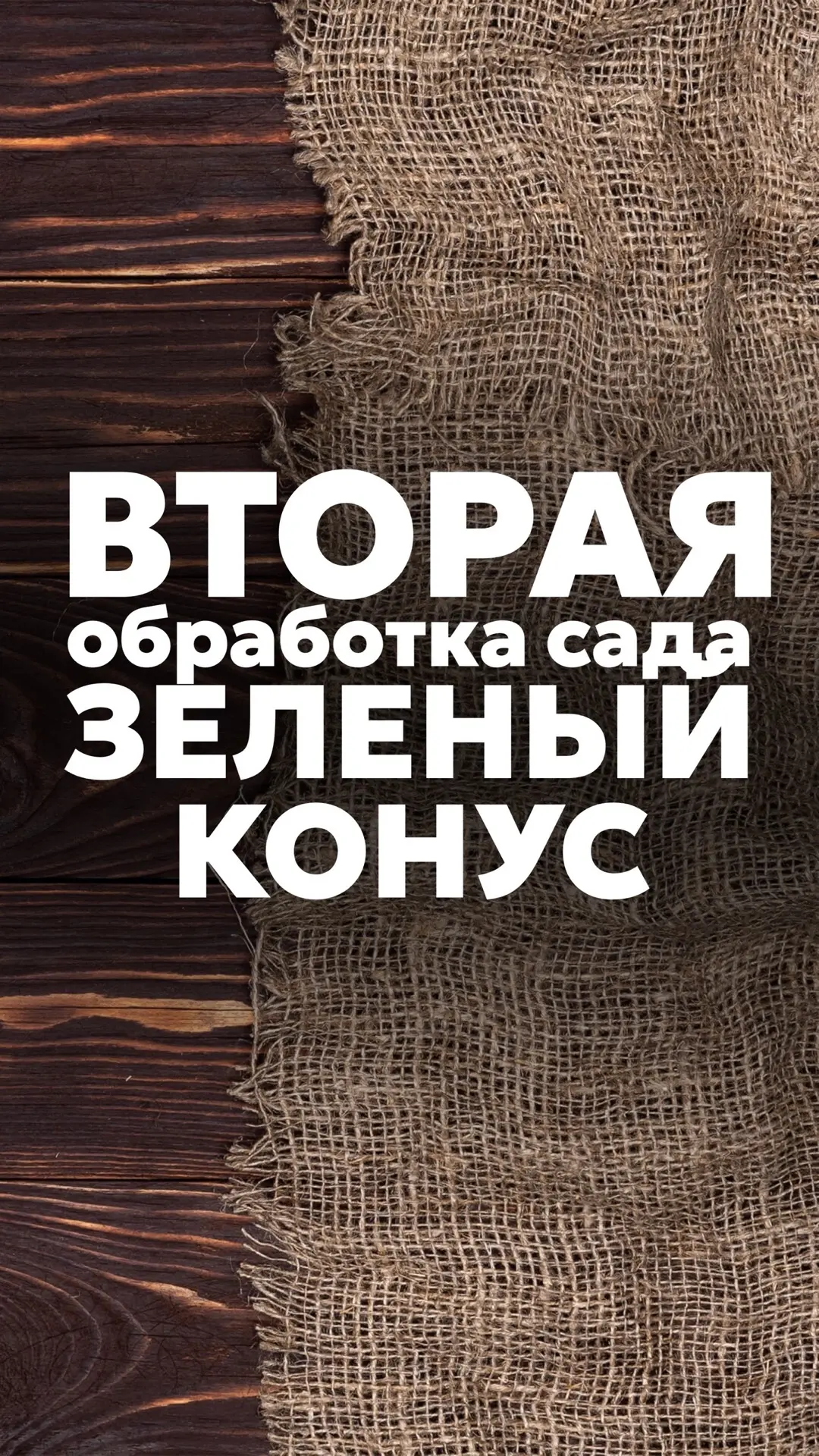 🌿 ФАЗА «ЗЕЛЕНЫЙ КОНУС»:  ГЛАВНАЯ БИТВА ЗА УРОЖАЙ! Схема баковой смеси с дозировкой ⬇️