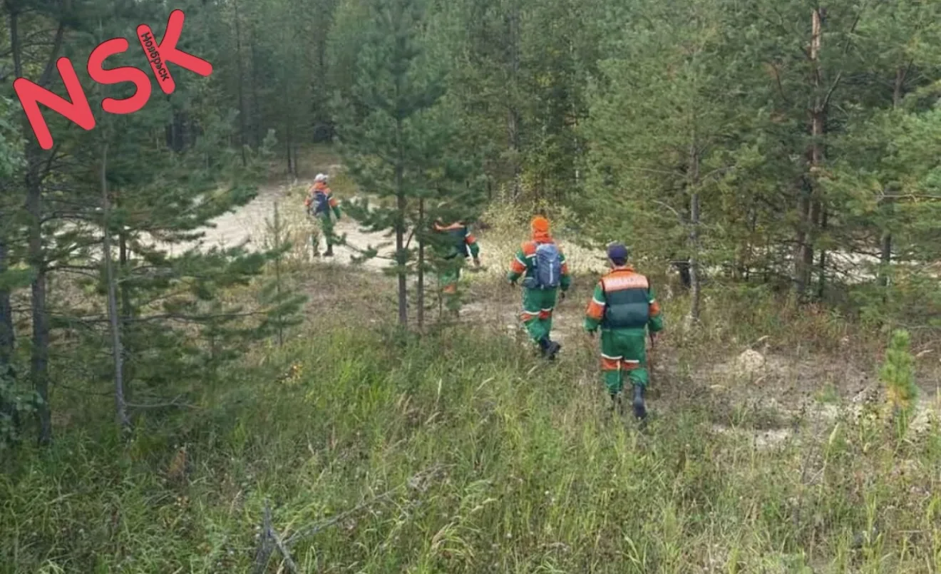 29.07.2026. в 21:32 ГБУ "АСС ЯНАО" "Ноябрьский ПСО" организованы поисковые работы. В ле...