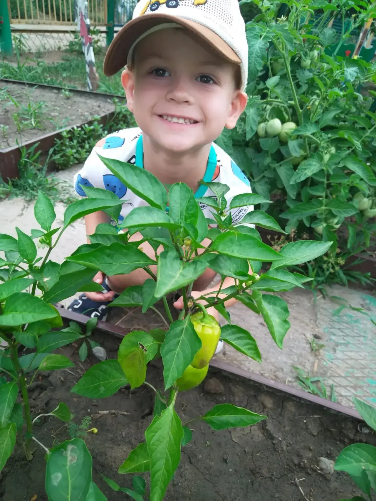 🧑‍🌾 Юные агрономы группы № 8 в деле! 🧑‍🌾

Сегодня у наших маленьких огородников большой успех — 