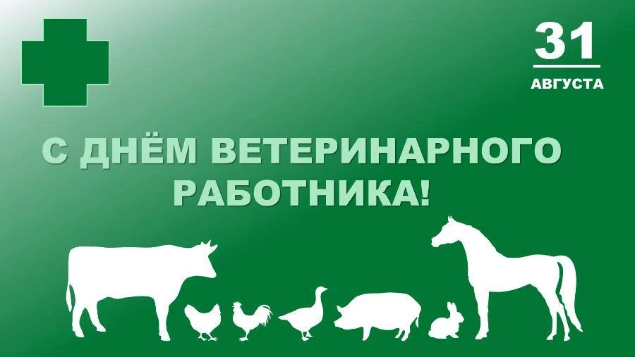 С Днём ветеринарного работника!