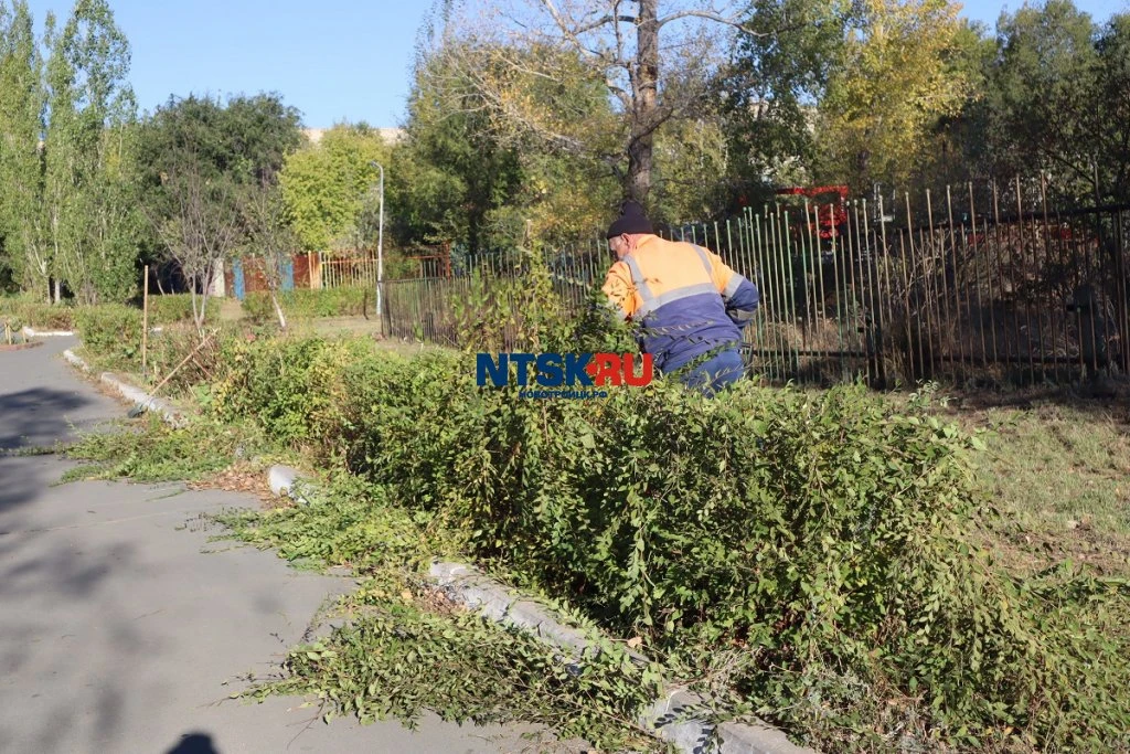 ГБДХ наводит красоту