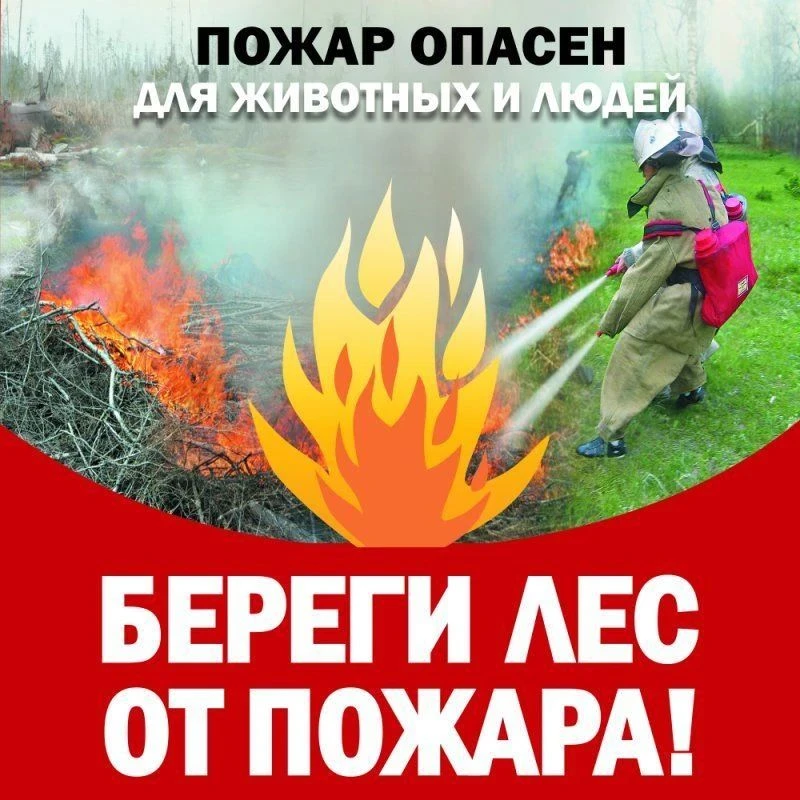 БЕРЕГИТЕ ЛЕС ОТ ПОЖАРА!