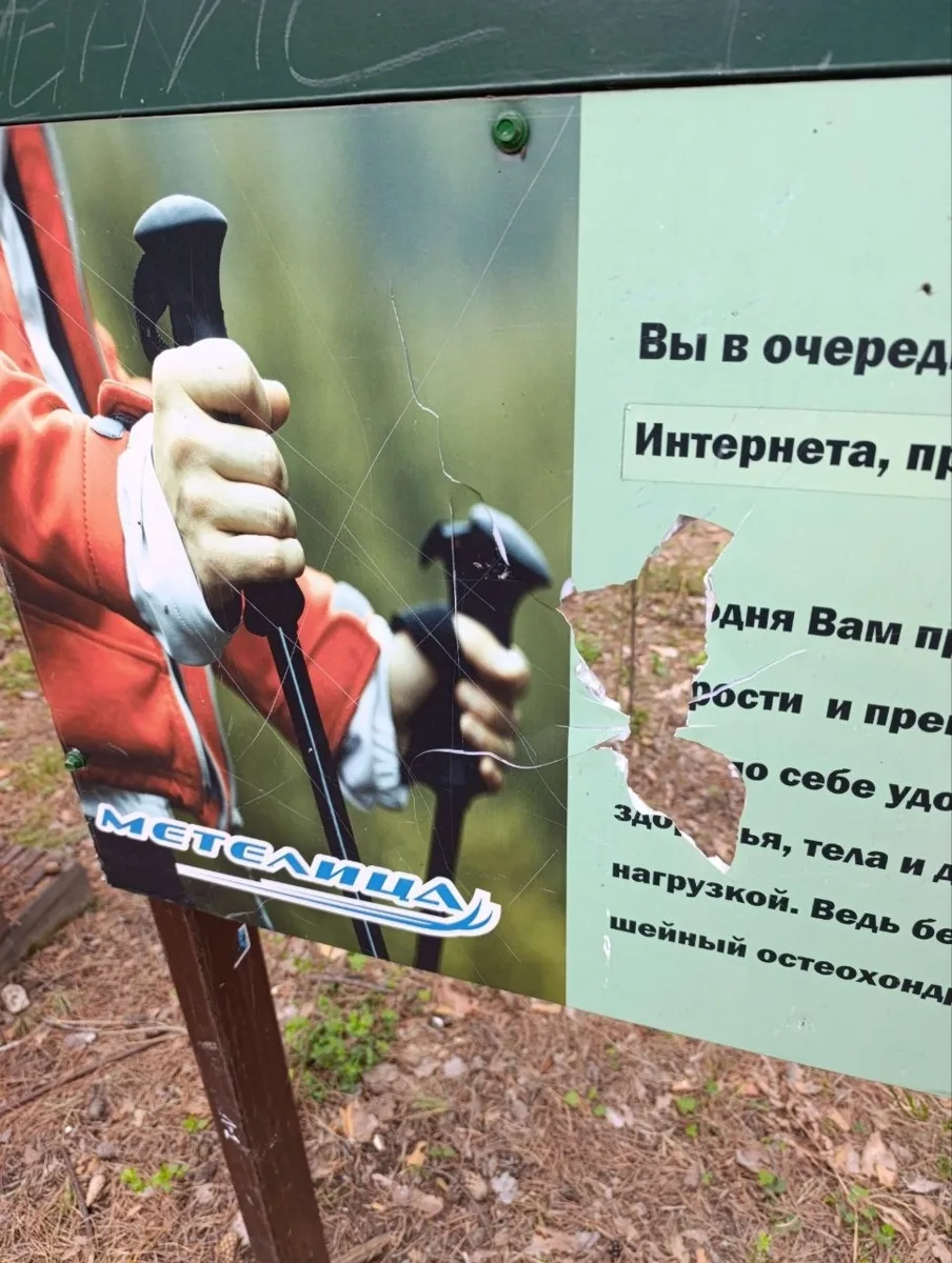 Вандалы повредили щит и деревянную дорожку на «Метелице» в Бердске  На трассе для скандинавской хо
