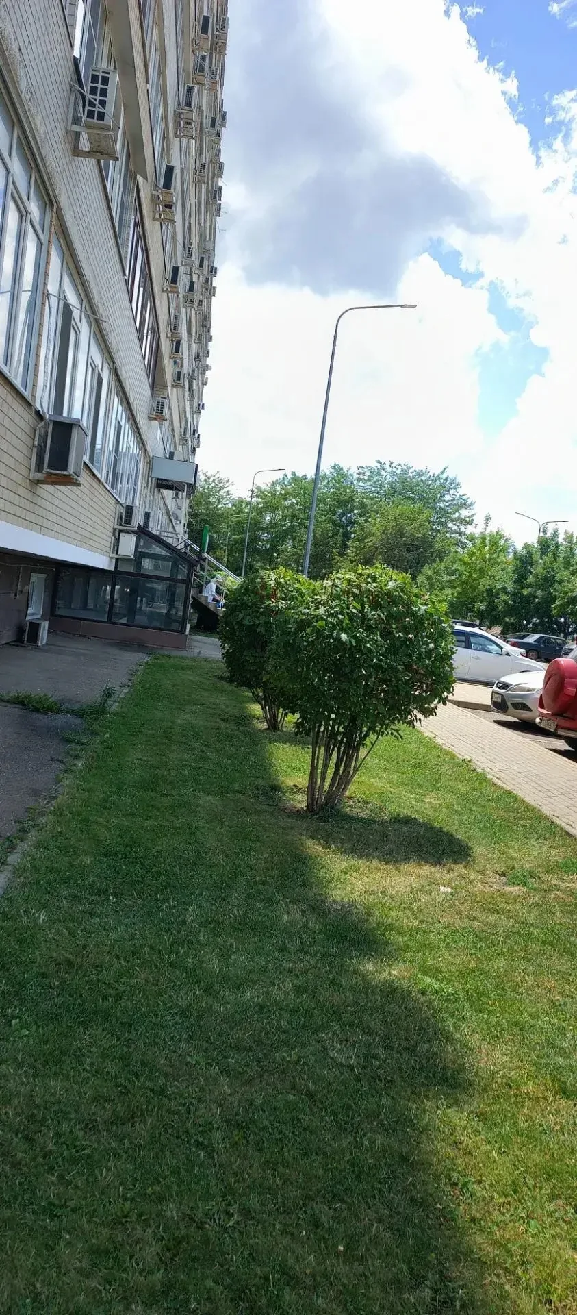 Выполнена стрижка кустов:1/3-4к.