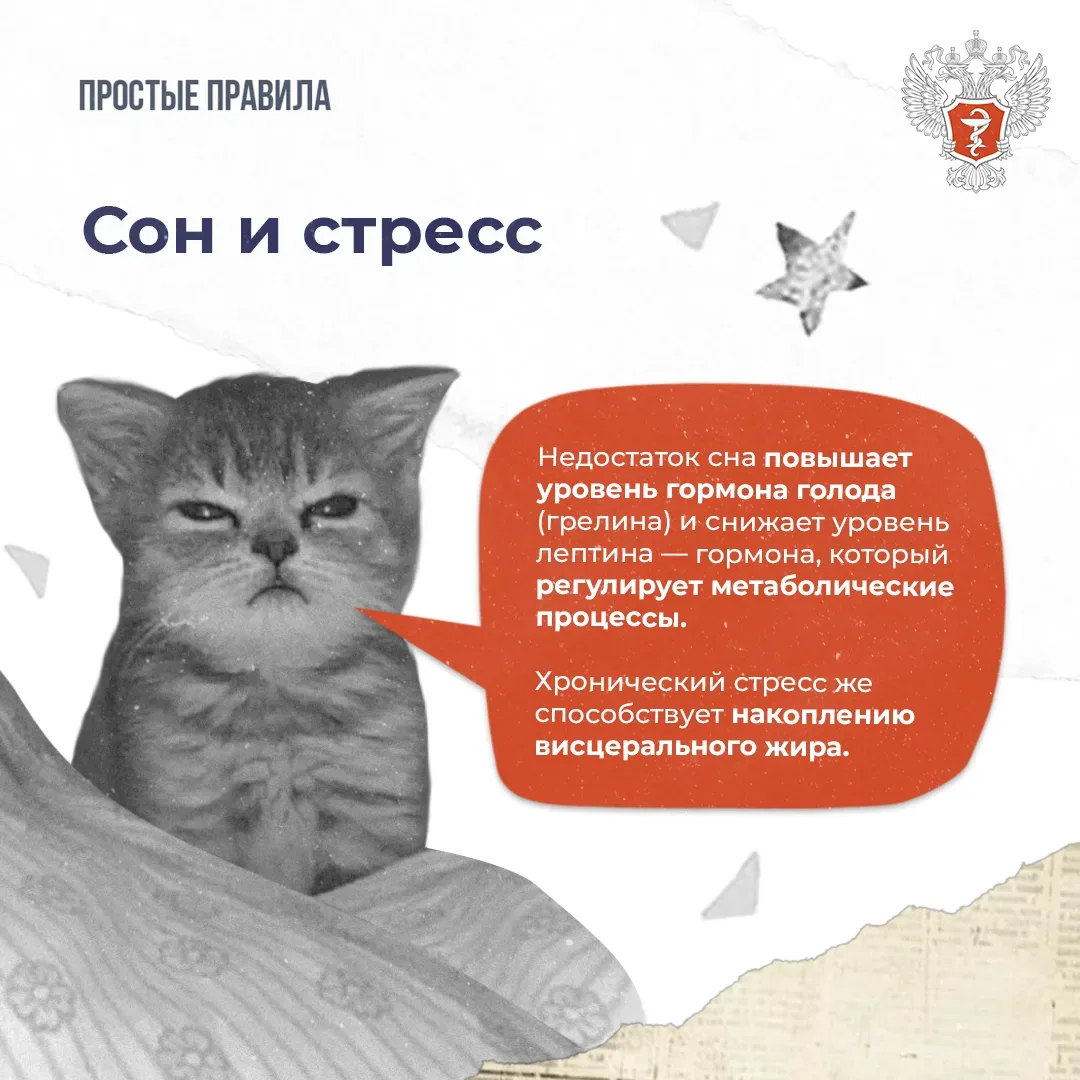 🏖 #ПростыеПравила: Как похудеть без вреда для здоровья  Об этом рассказала заместитель главного врач