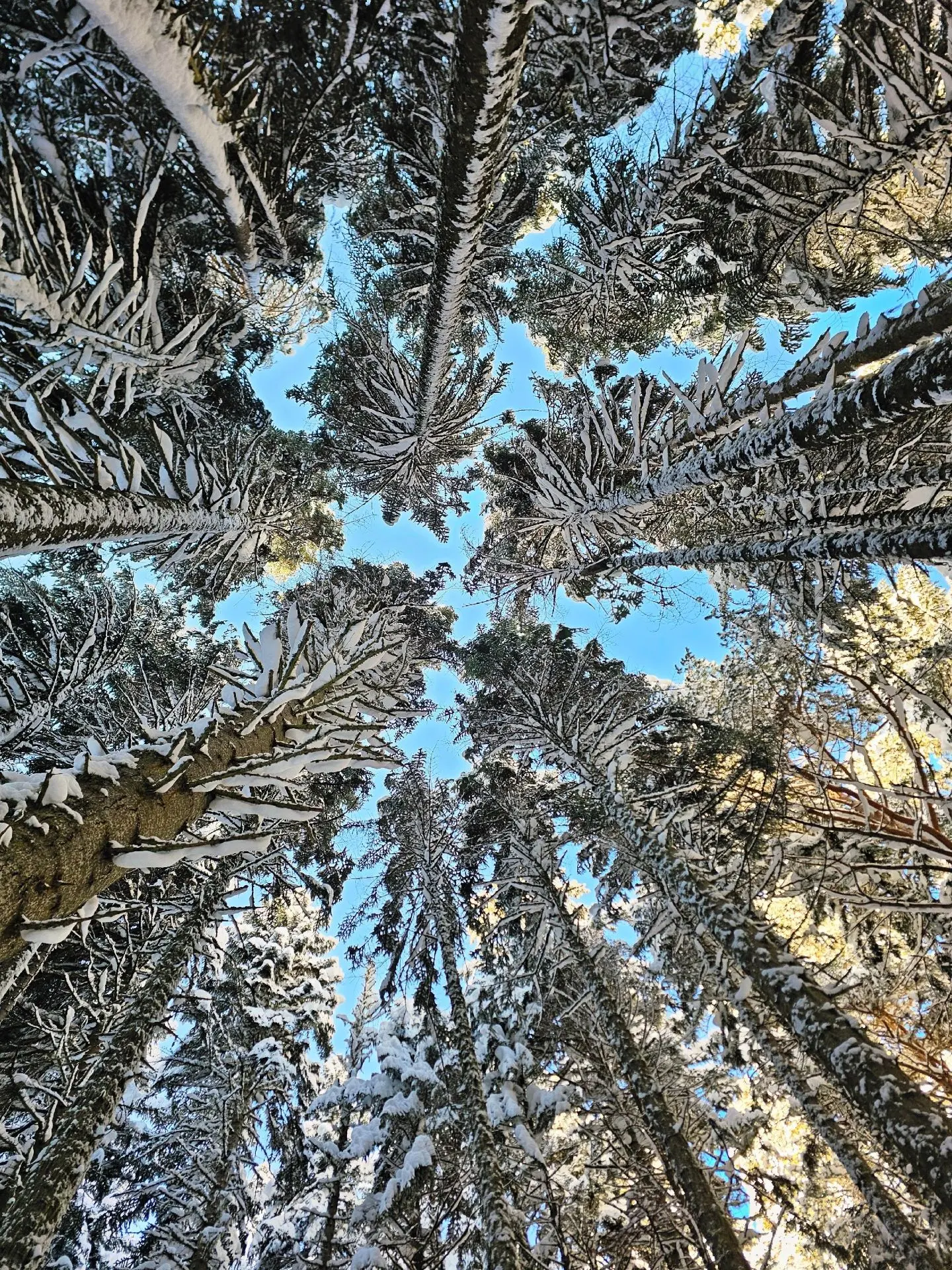 И это тоже Архыз ❄️