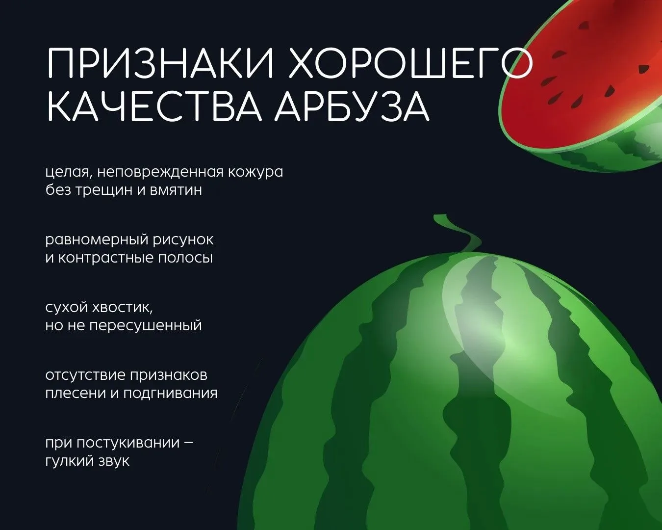 Время арбузов