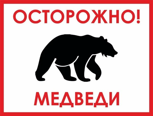 ✅В связи с нашествием большого количества медведей в районе рек Алгуй, Амзас