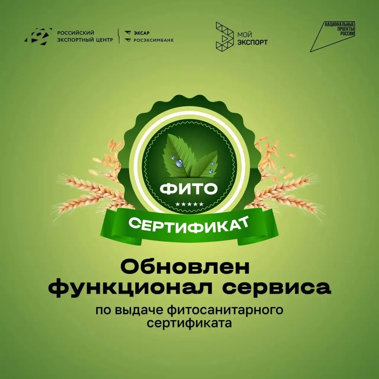 Цифровые заявки на оформление фитосанитарных документов: как это работает в 2026 году  🌱 В 1 квартал