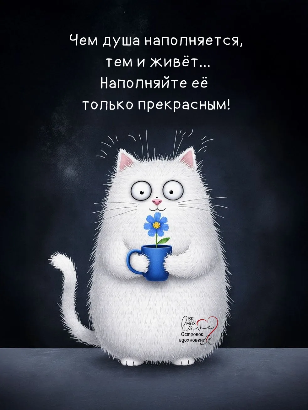 ───⋅୭⋅───
Островок Вдохновения