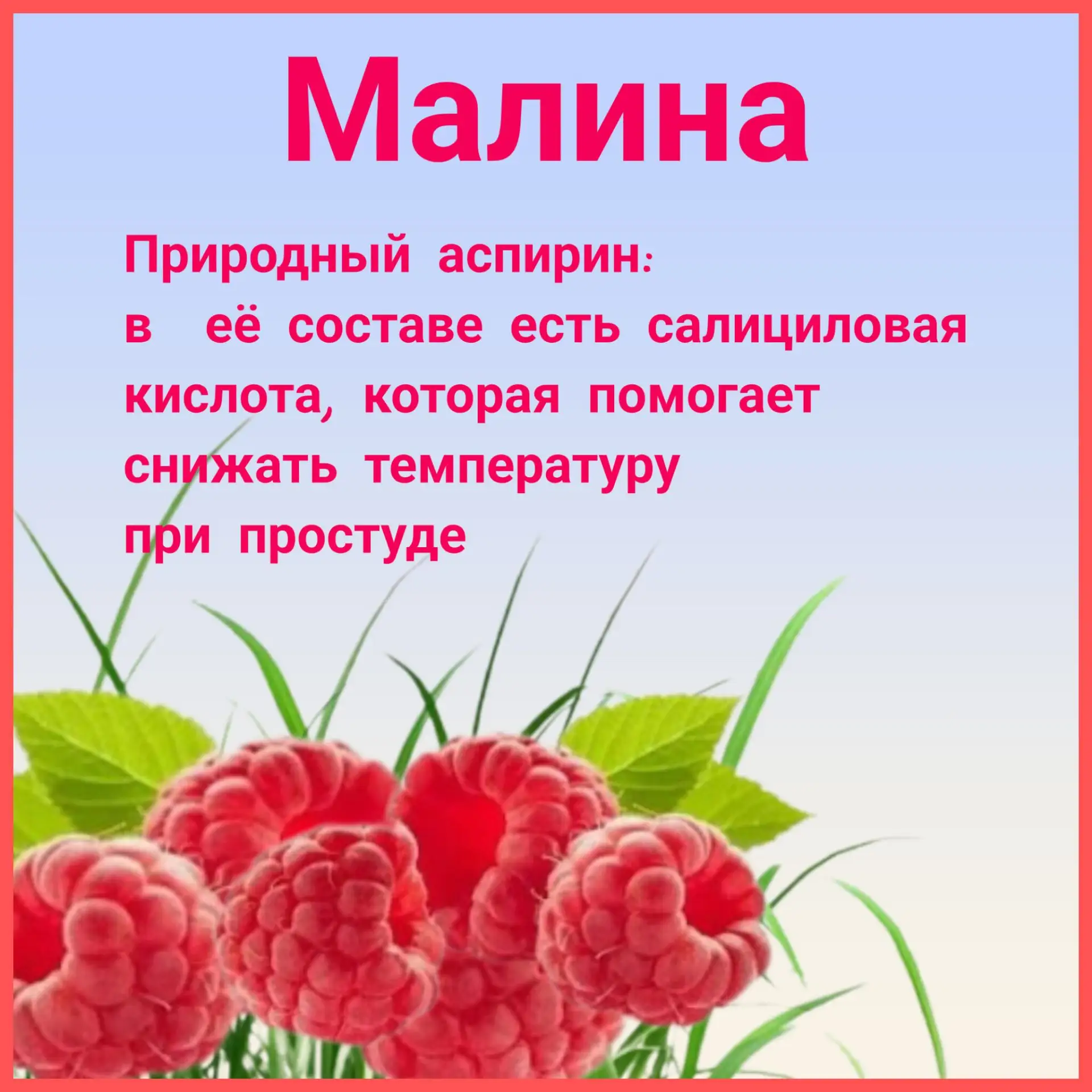 🚩Это интересно!