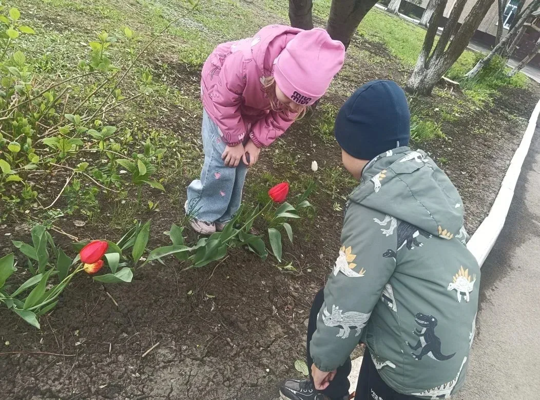 Поздняя весна - это период когда природа достигает пика активности. Вот и дошкольники п...