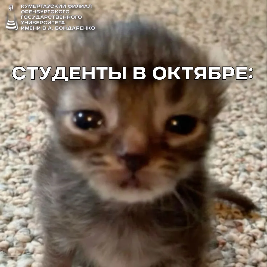 Студентам нашего филиала страшно в октябре не потому что Хэллоуин, а потому что неделя ...