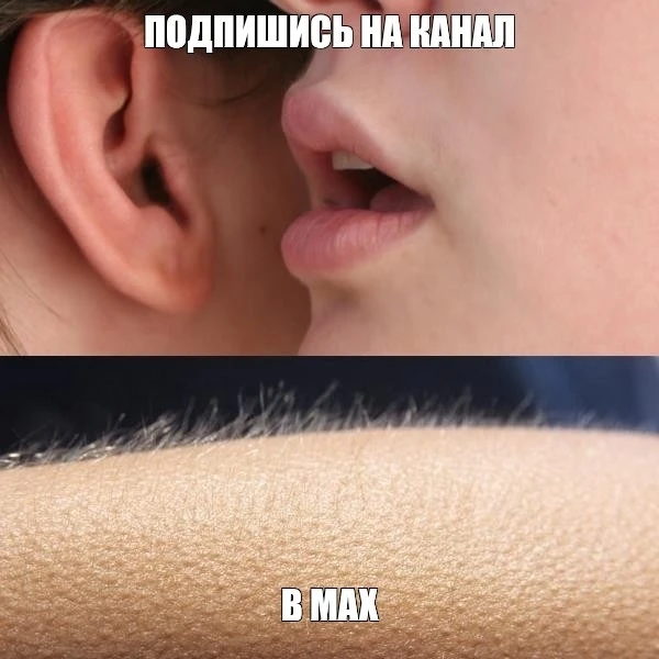 ⚡Подписывайтесь на наш MAX, чтобы не пропустить самое важное   👉  НЕ ЗАБУДЬ ПОДПИСАТЬСЯ ⤵️
