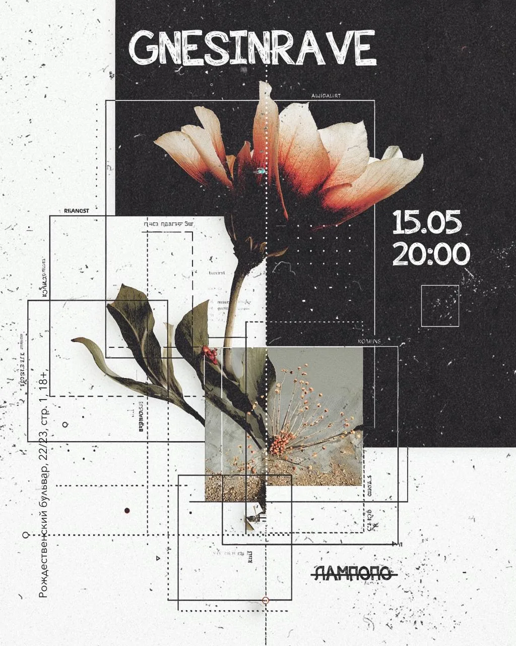 Рейв вечеринка для Гнесинцев?!😳
