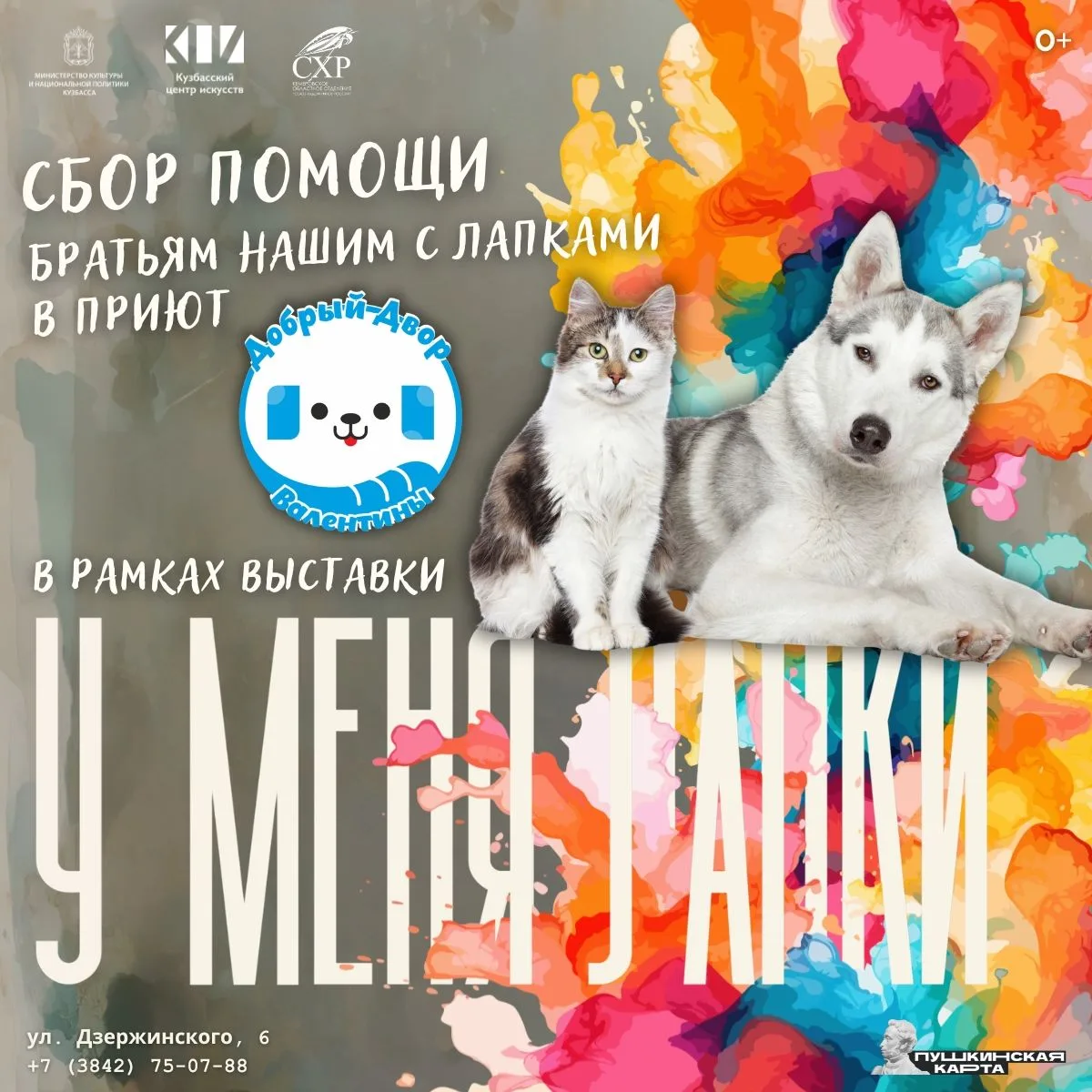 «У меня лапки»: поможем бездомным животным вместе 🐾