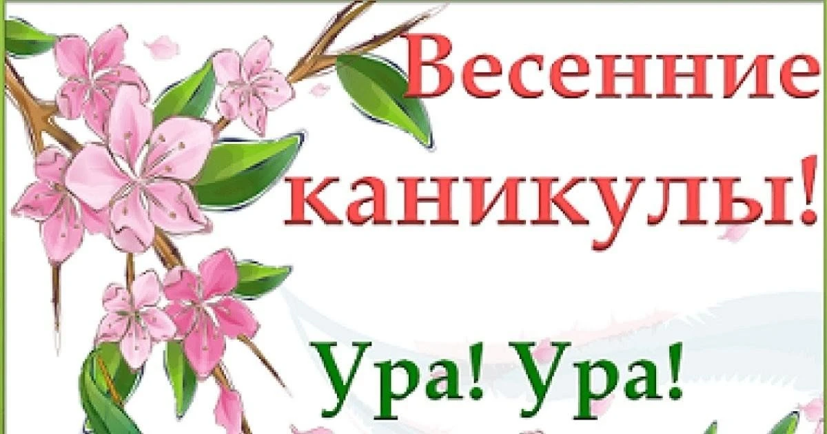 Третья четверть учебного года подошла к концу. Это важный этап, знаменующий собой преод...